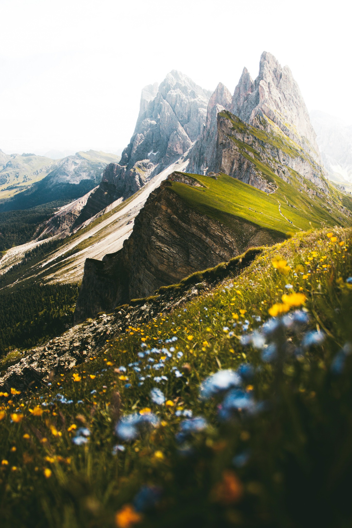 Mountain landscape with alpine meadows and wildflowers